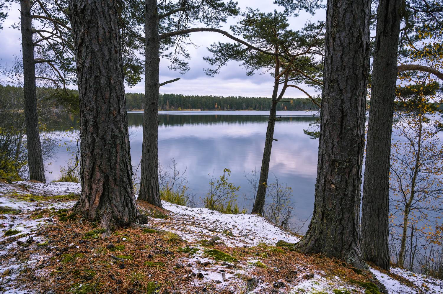 озеро снетковское, Бабурин Олег