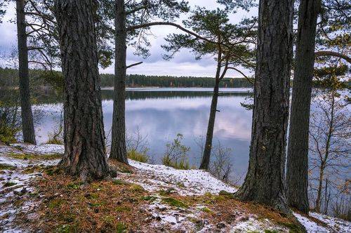 На берегу Снетковского озера.
