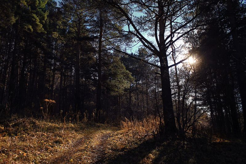 .. фото превью