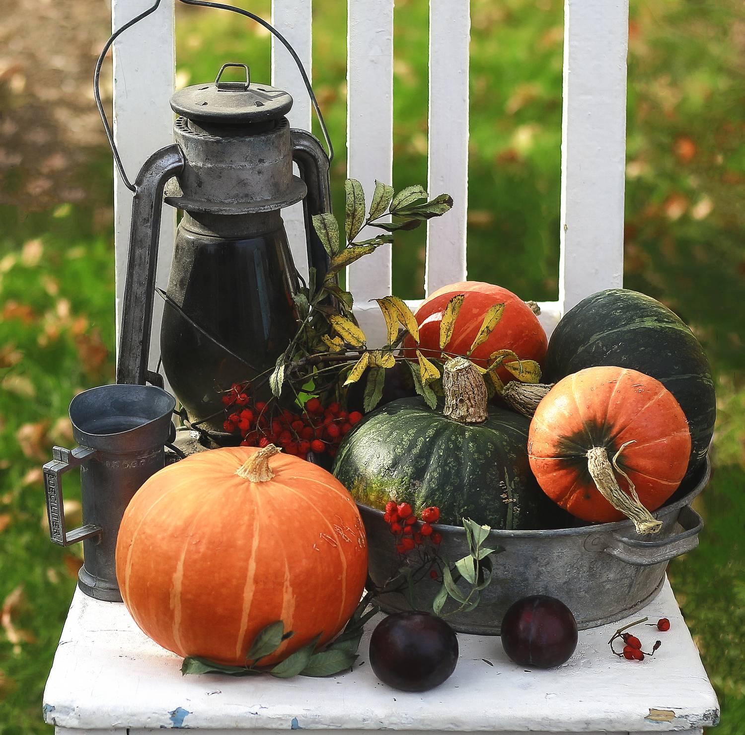 натюрморт, фотонатюрморт, still life, stillifefoto, художественное фото, фотохудожник, наталья казанцева, осень, октябрь, тыква, рябина, фрукты, слива, ретронатюрморт,, Наталья Казанцева