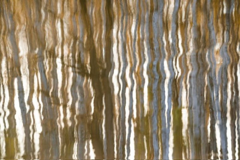 Осенние абстракции. В отражении воды…  Autumn abstractions. In the reflection of water... фото превью