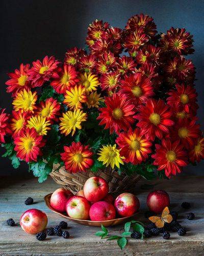 Still life with Chrysanthemum and Apples