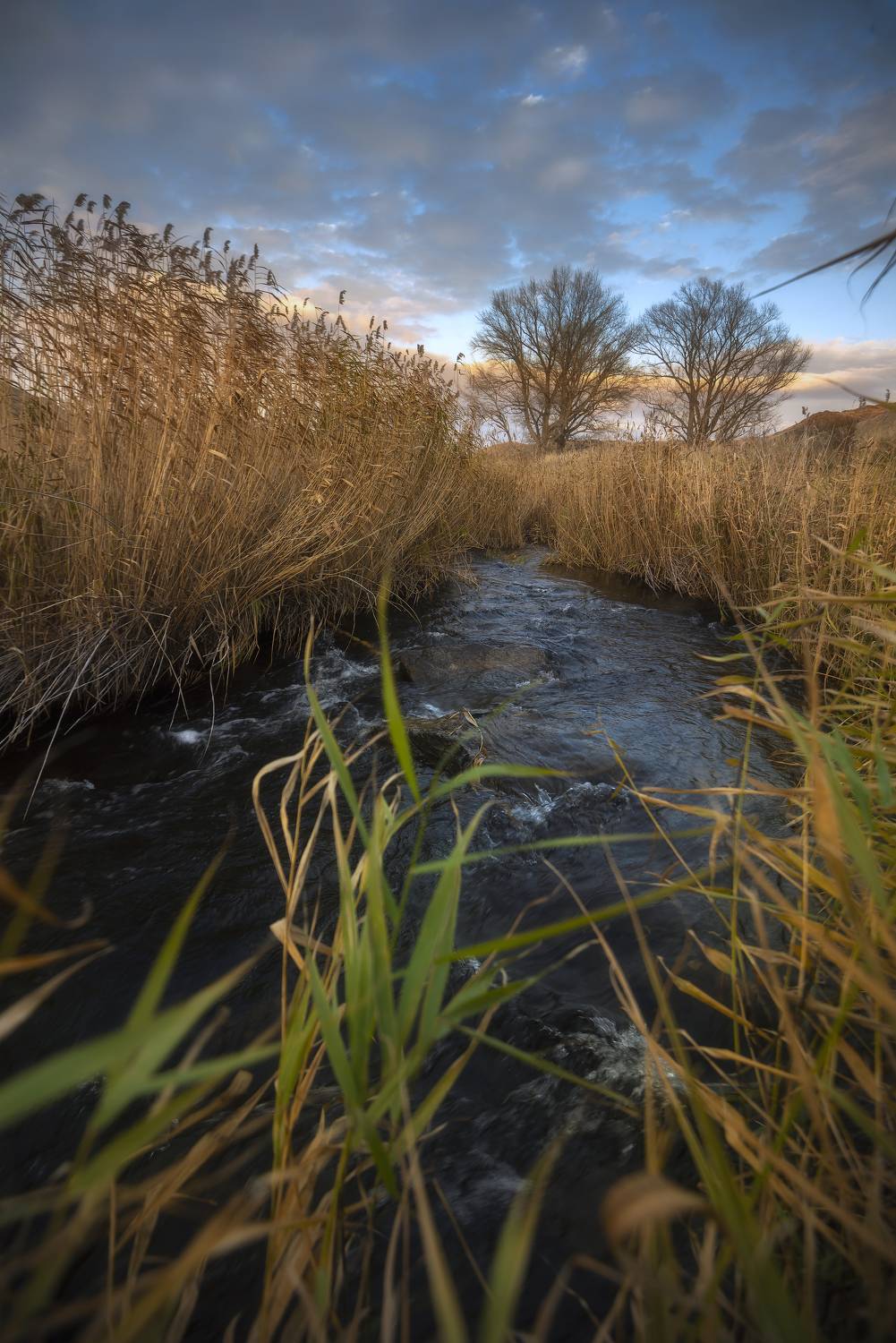 , Антонов Антон