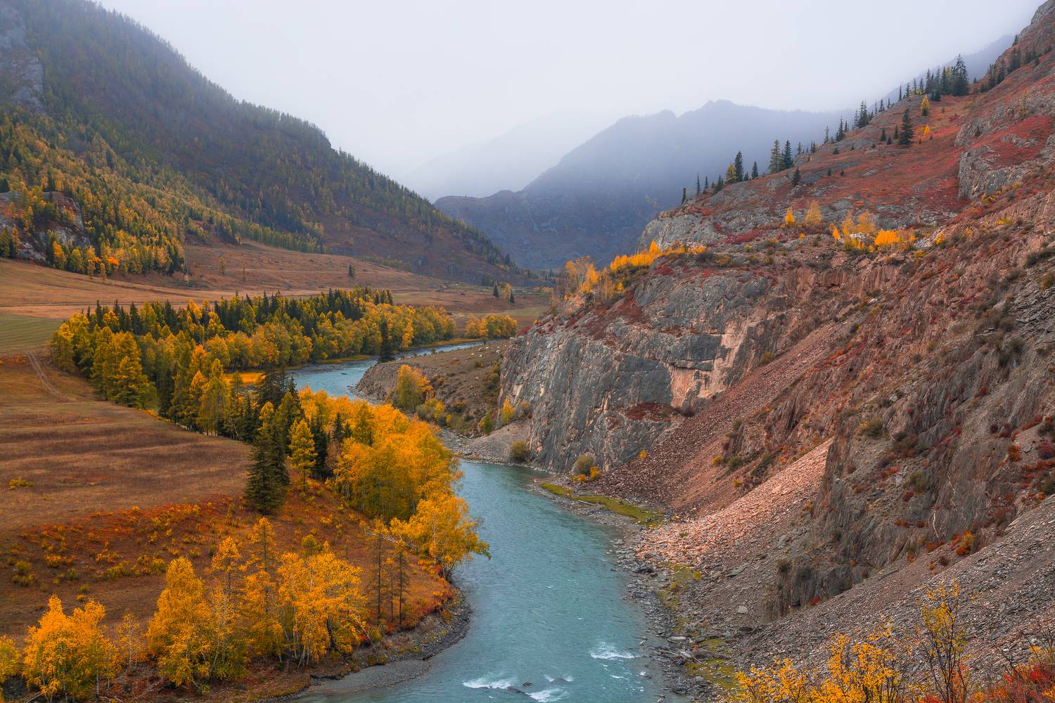 россия, горный алтай, река чуя, туман над горами,осень, Андрей Поляков
