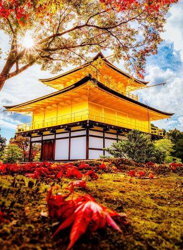 [ Autumn in Kyoto ]