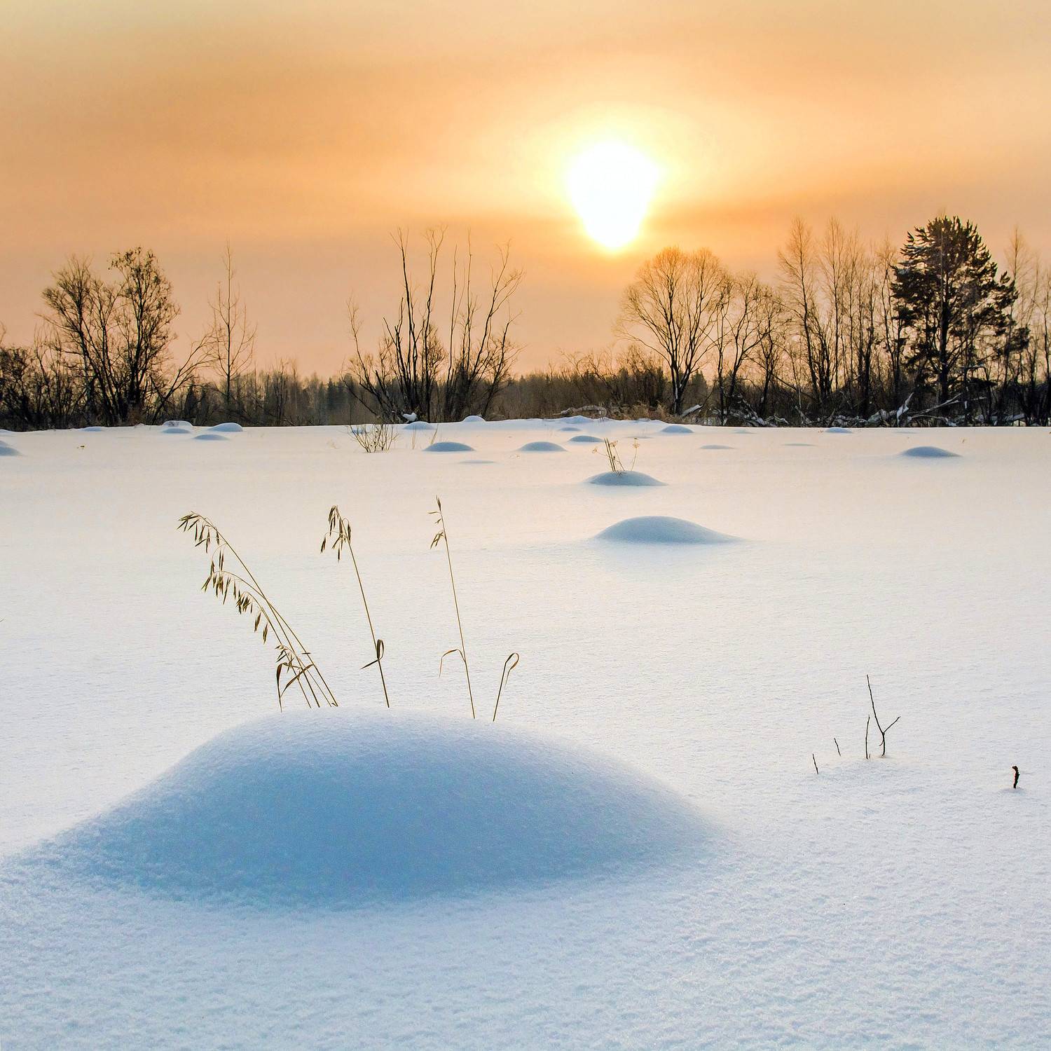 , Белоусов Михаил