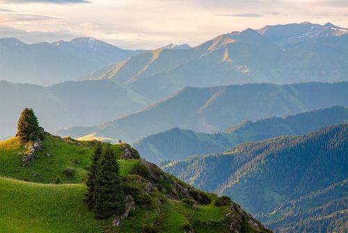 Охота за шедеврами