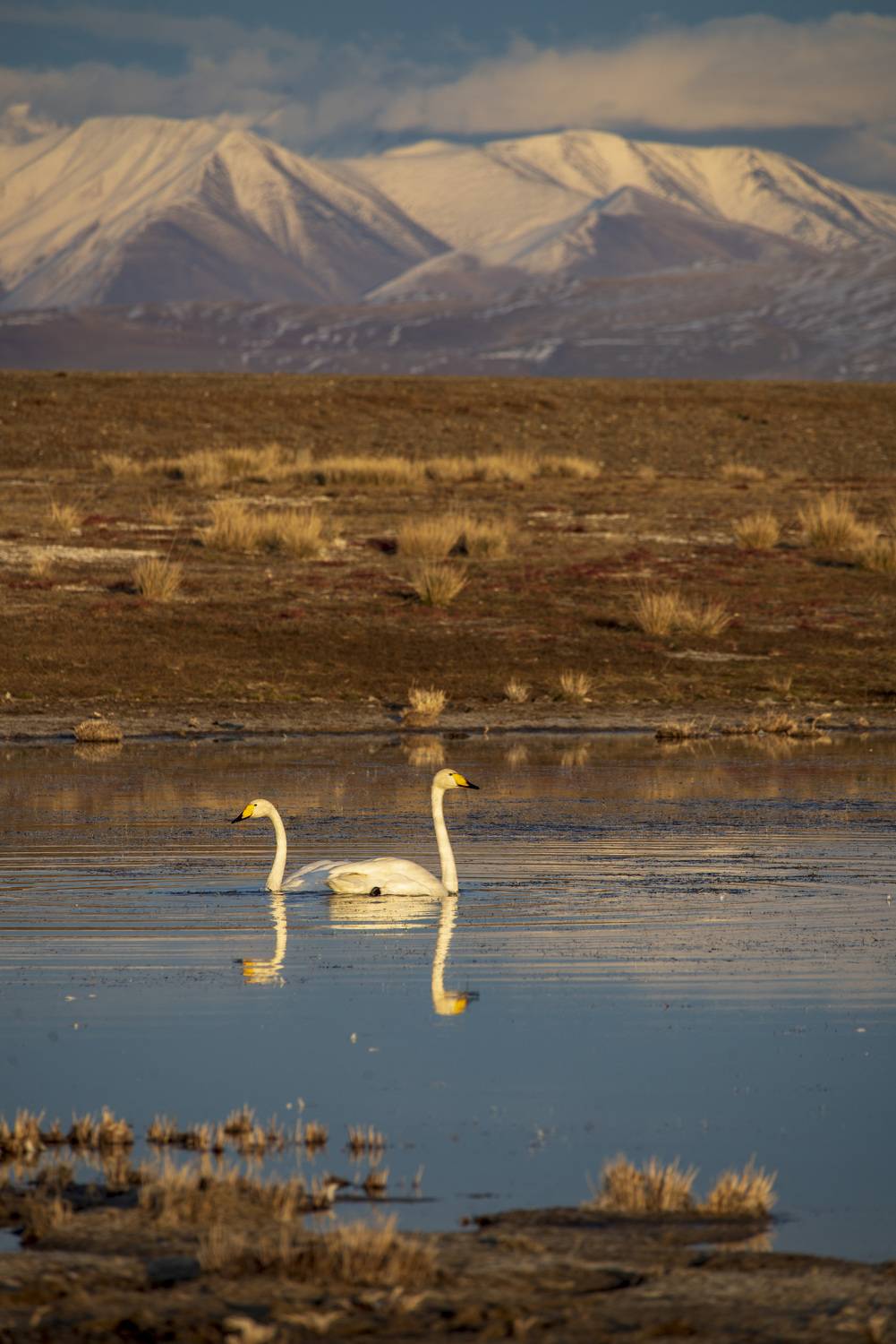 Село Кош-Агач, Пономарева Антонина