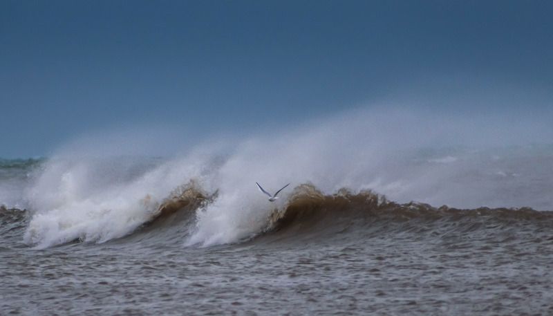 Волна фото превью