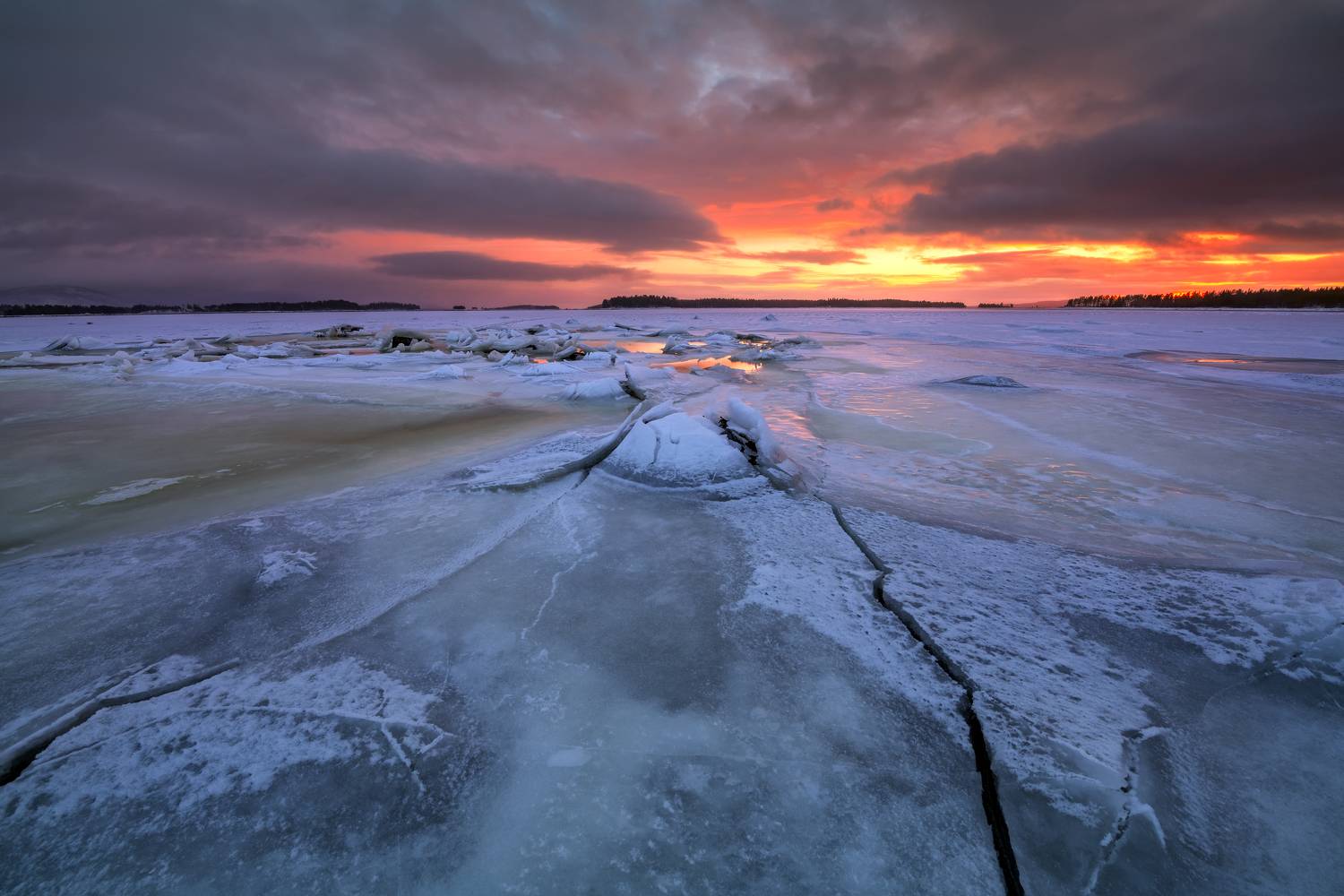 , Максим Евдокимов
