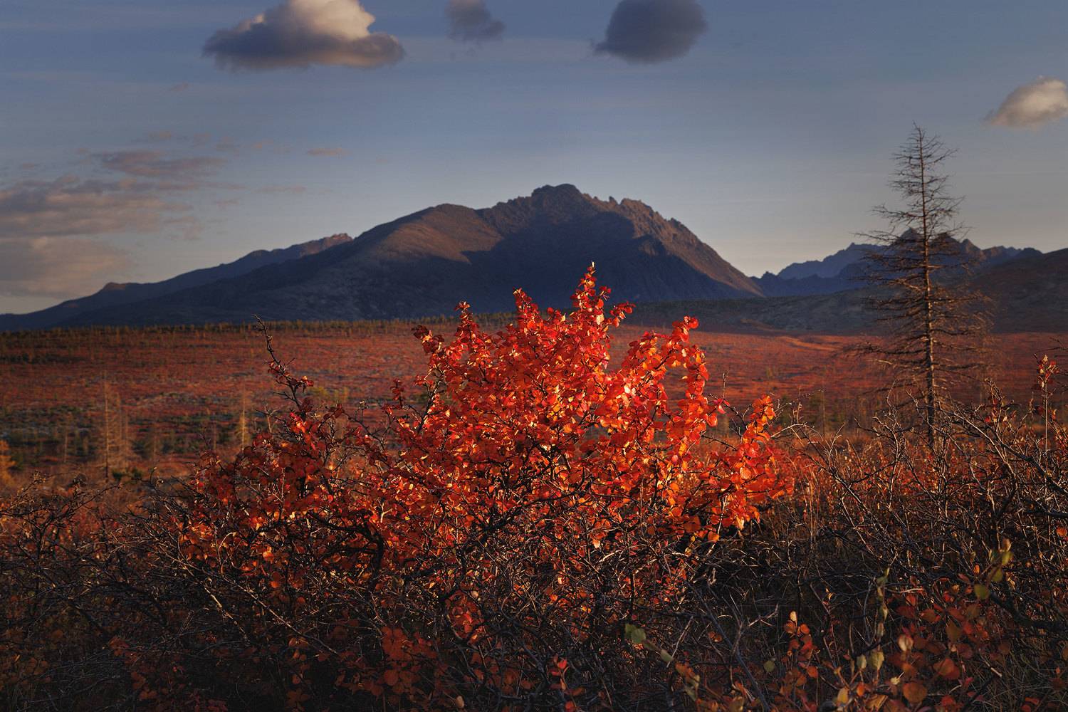красная, колыма, Морозов Сергей