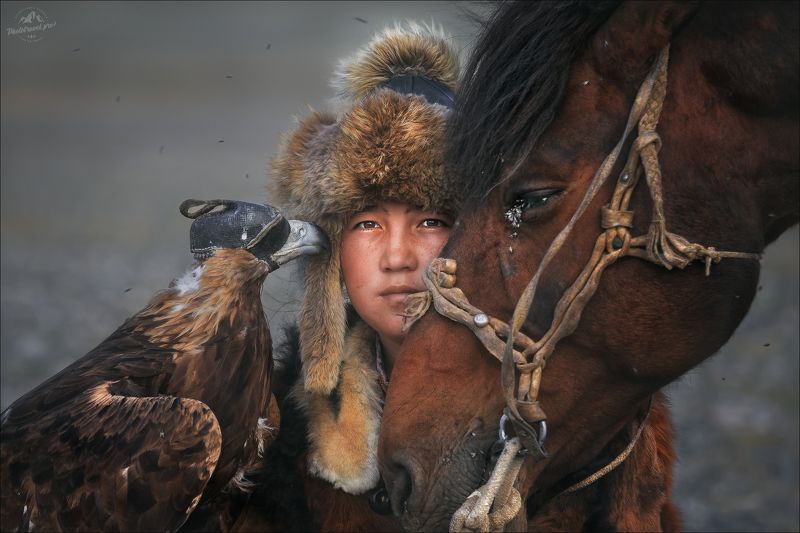 монголия, фототур в монголию, golden eagle festival, кочевники, golden eagle, беркут, беркутчи Я,ты,мы... фото превью