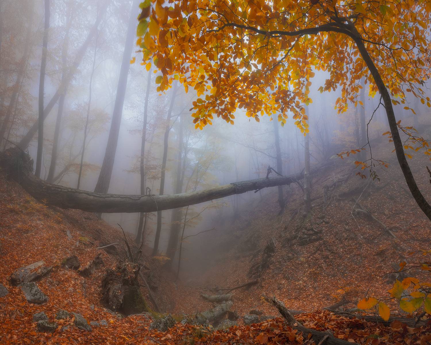 , Костенко Александр