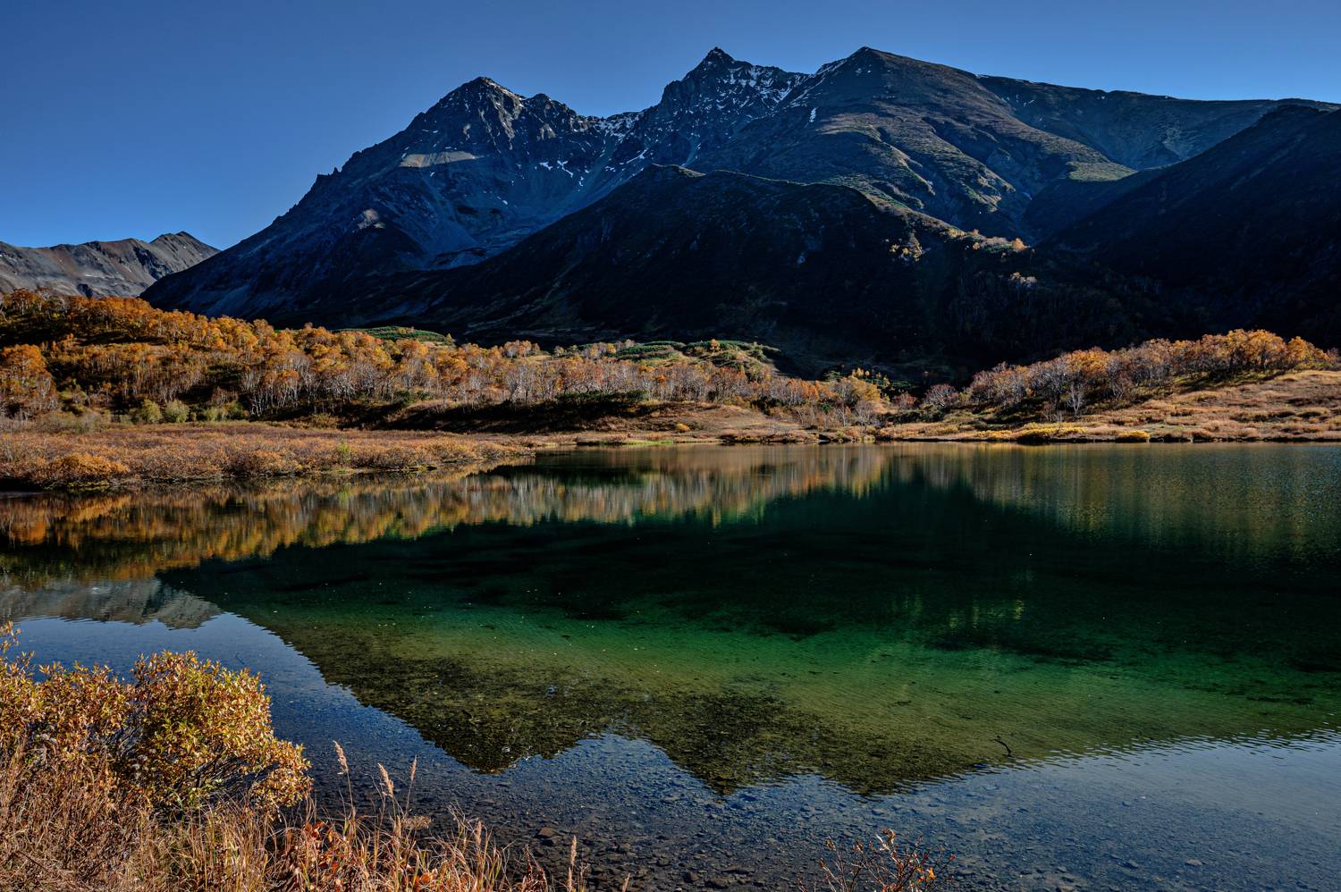 , Александр Мухин