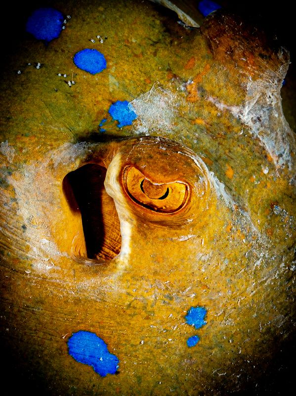 I’m watching you фото превью