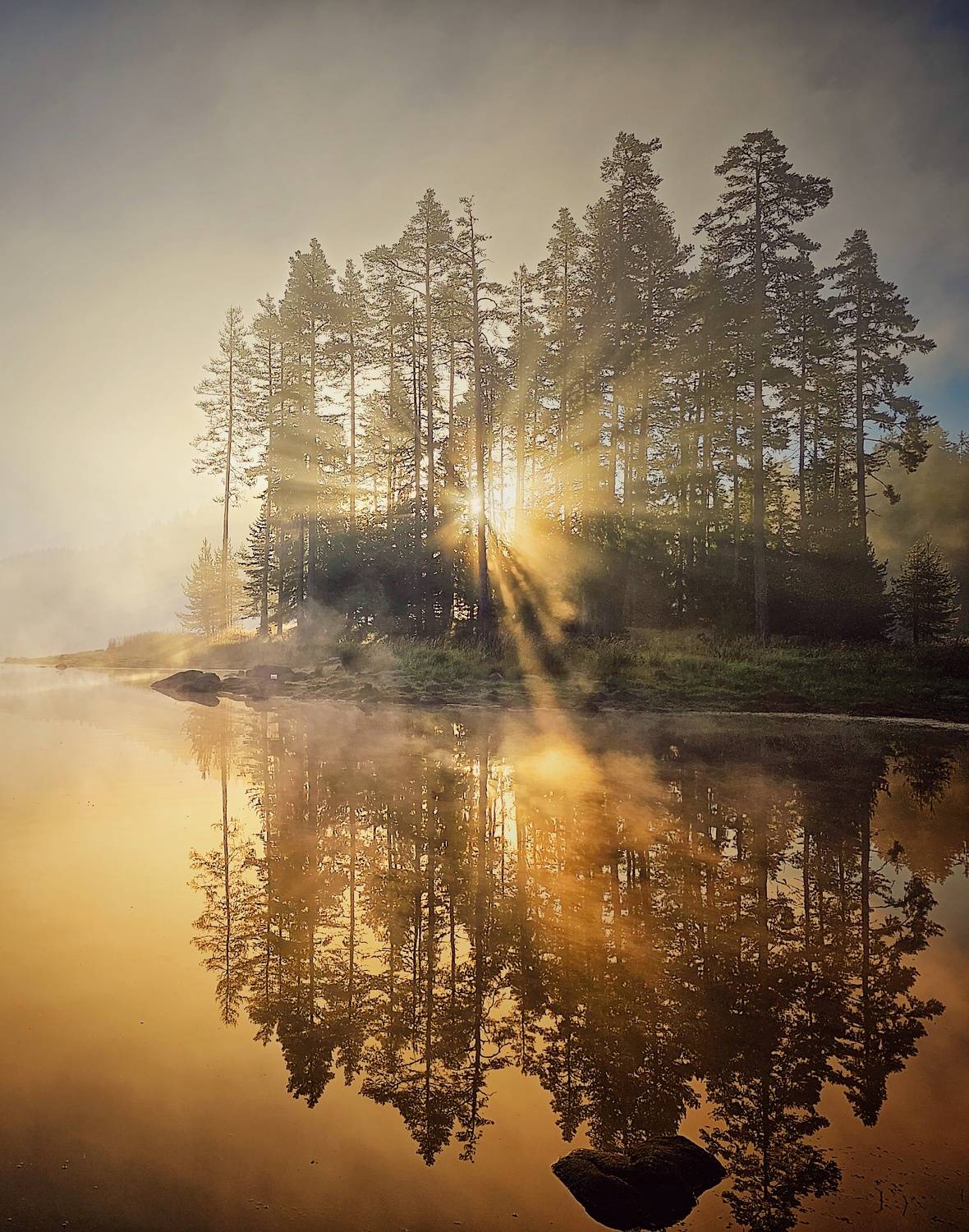 , Герчев Николай