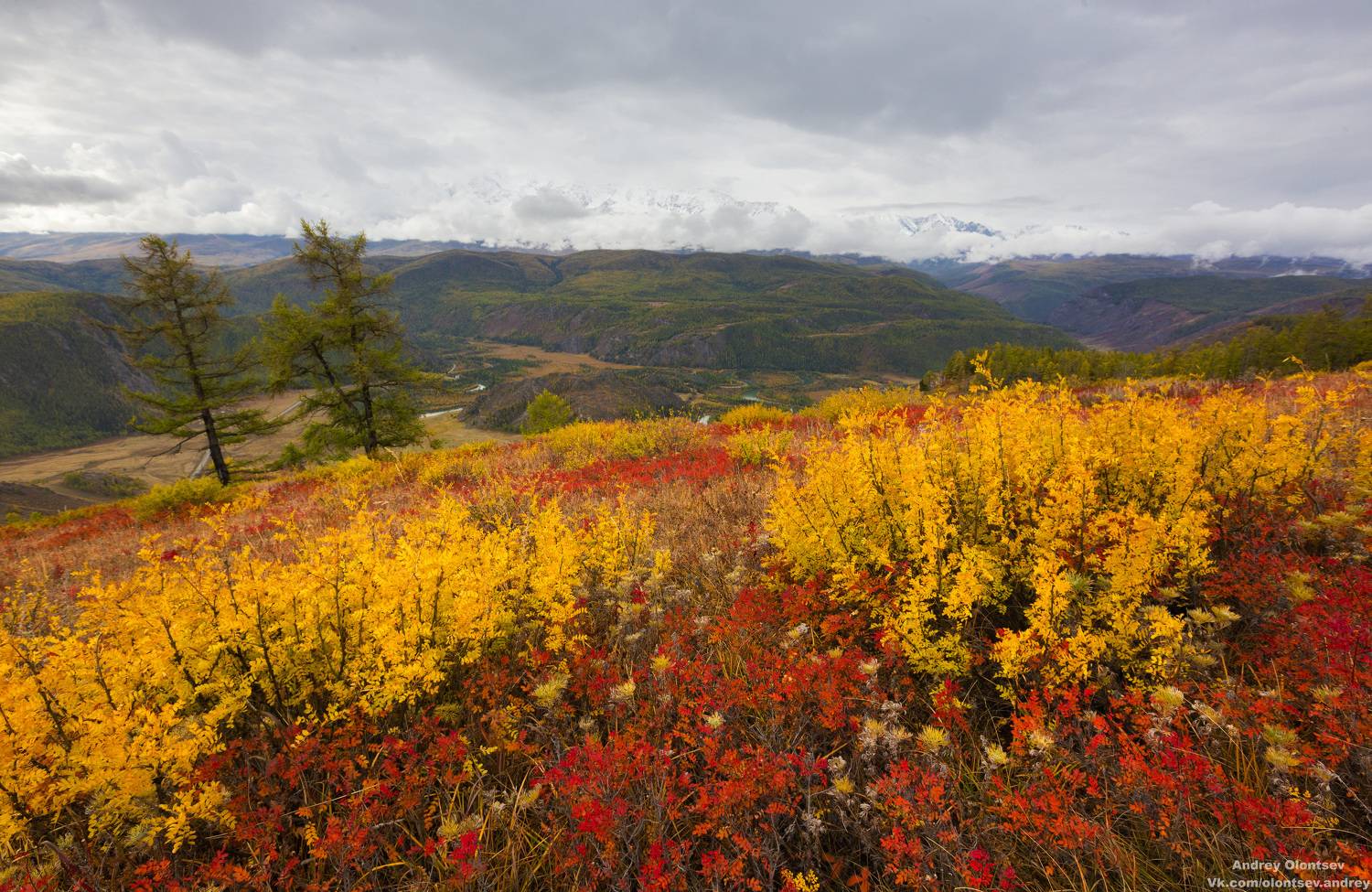 солнце, россия, рассвет, природа, подмосковье, погода, пейзажи, пейзаж, отражение, наукоград, красота, дубна, вода, весна, weather, water, spring, russia, reflection, naukograd, nature, moscow, landscape, dawn, canon, dubna, beauty, Олонцев Андрей