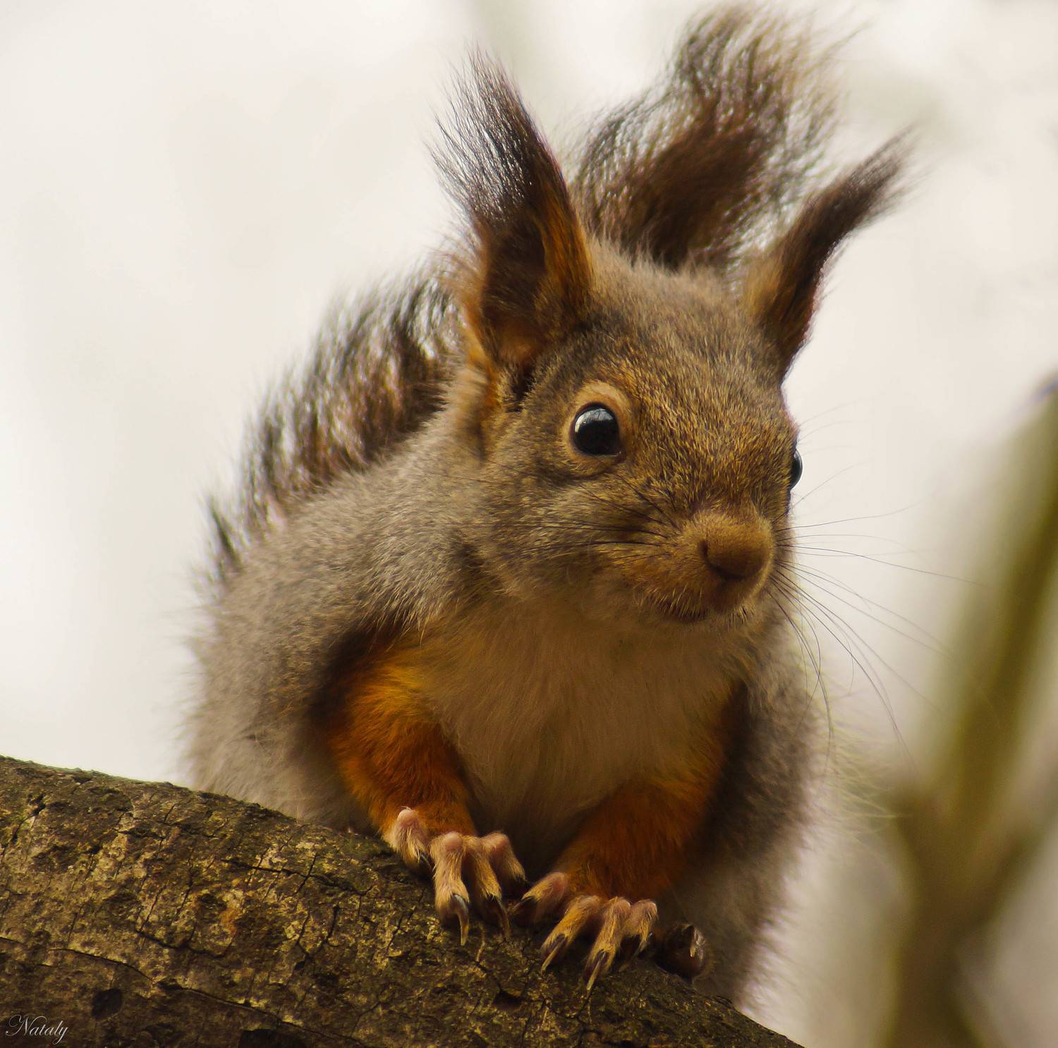 , Екимова Наталья