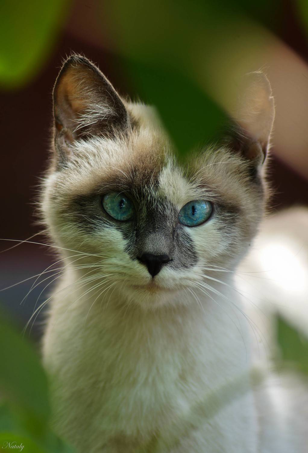 , Екимова Наталья