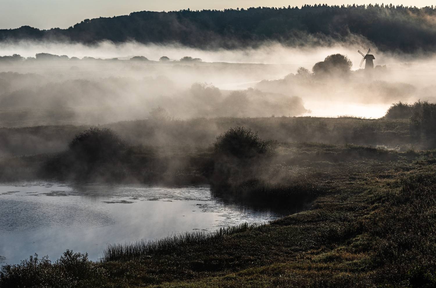 Туман, Михайловское, Пушкин, Савкина горка, утро, Сергей