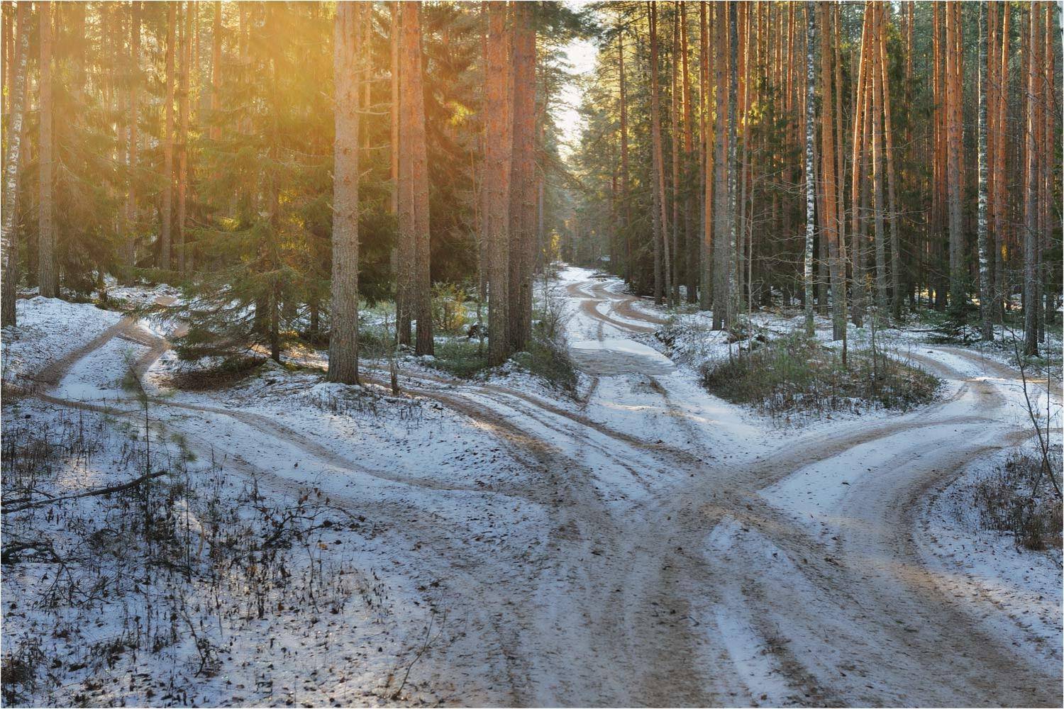 , Анатолий Гулин