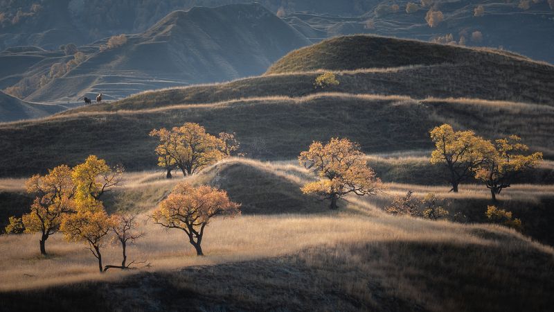 дагестан, террасы, кудали, осень Вышли в сад фото превью