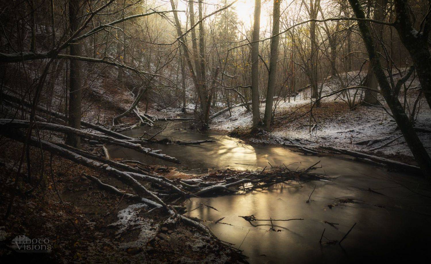 winter,snow,river,forest,woodlands,woods,woodland,landscape,trees,river,riverside,rivershore,light,, Photo Visions