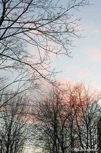 Акварельный вечер