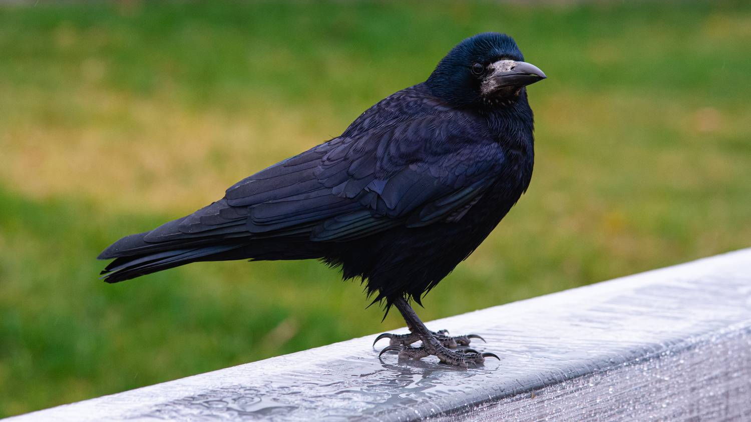 , Вертиков Юрий