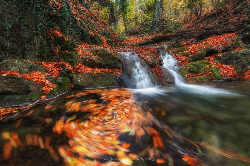 Осенний хоровод фото превью