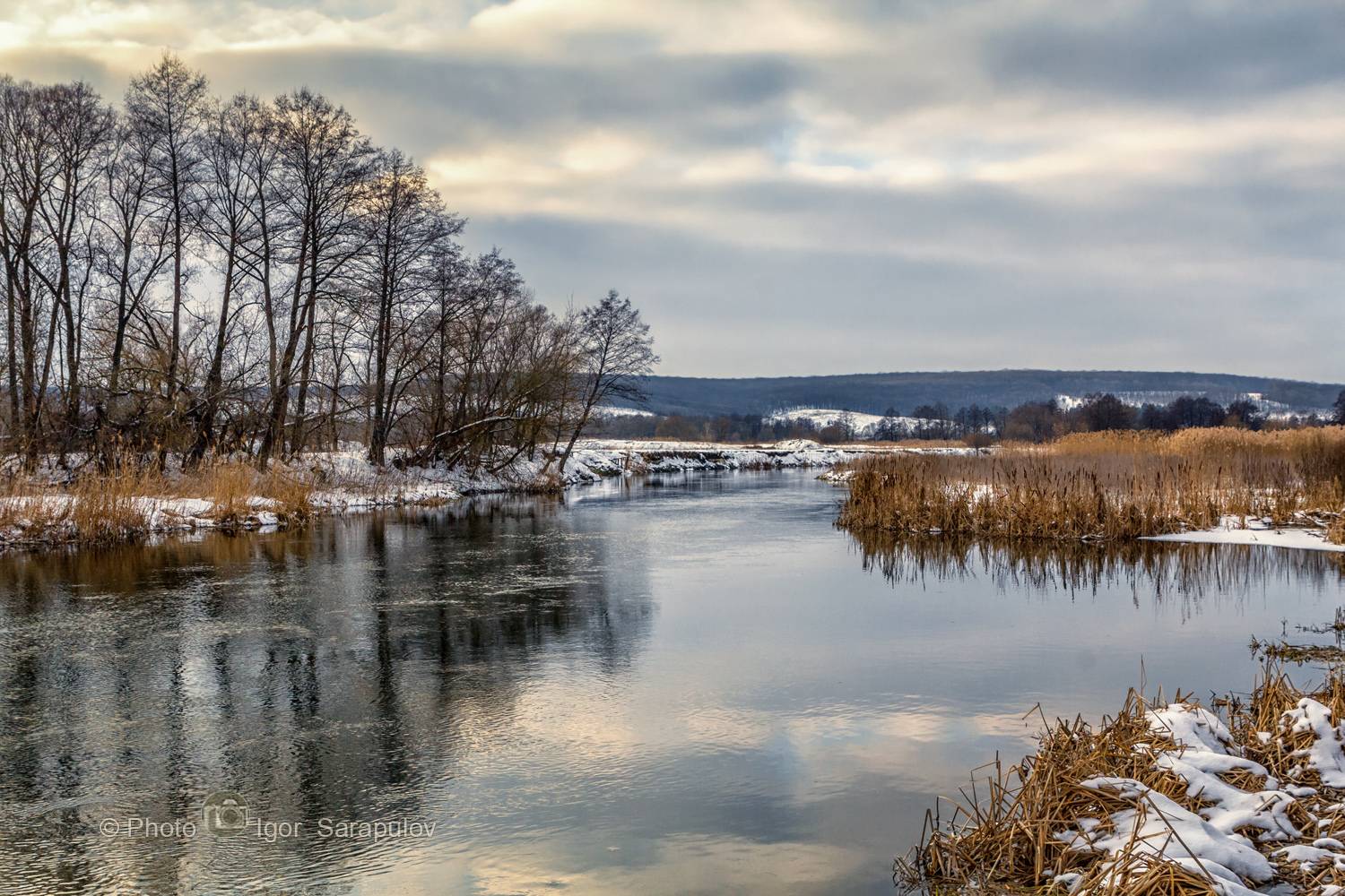 тростник, северский донец, река, небо, зимнее небо, зима, вечер, берег, белгородчина, белгородская область,, Сарапулов Игорь