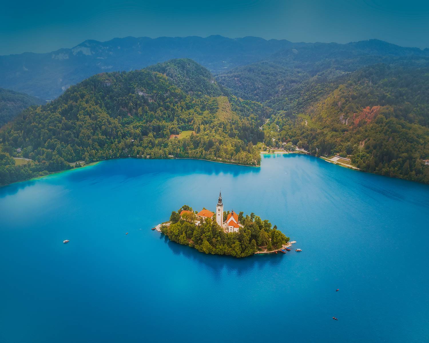 , Владимир Поляков