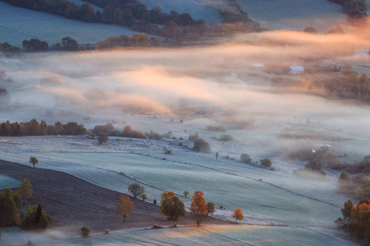,  Mirosław Pruchnicki