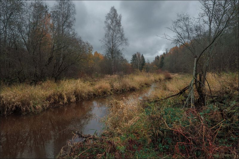 Поздняя осень фото превью