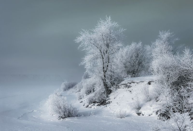 ноябрь, деревья, кусты, иней, туман, обрыв, река, мост, архангельск Встретило утро туманом фото превью