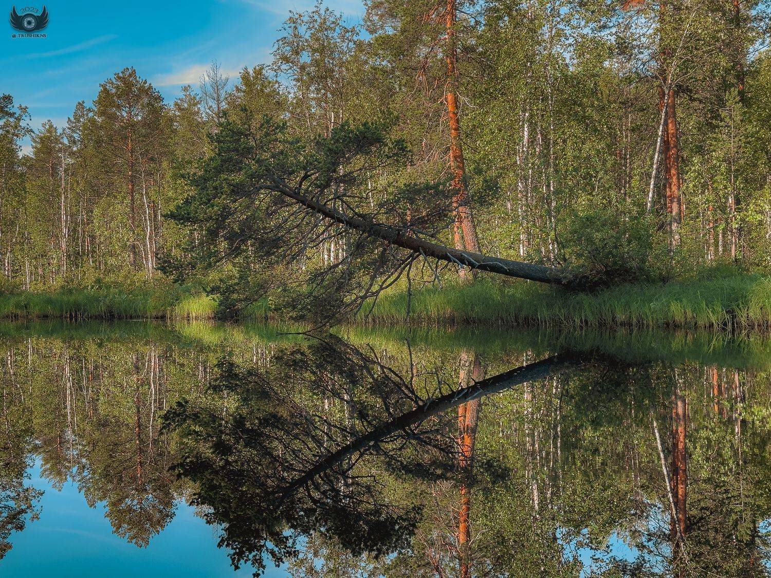 , Vladislav Trushkov