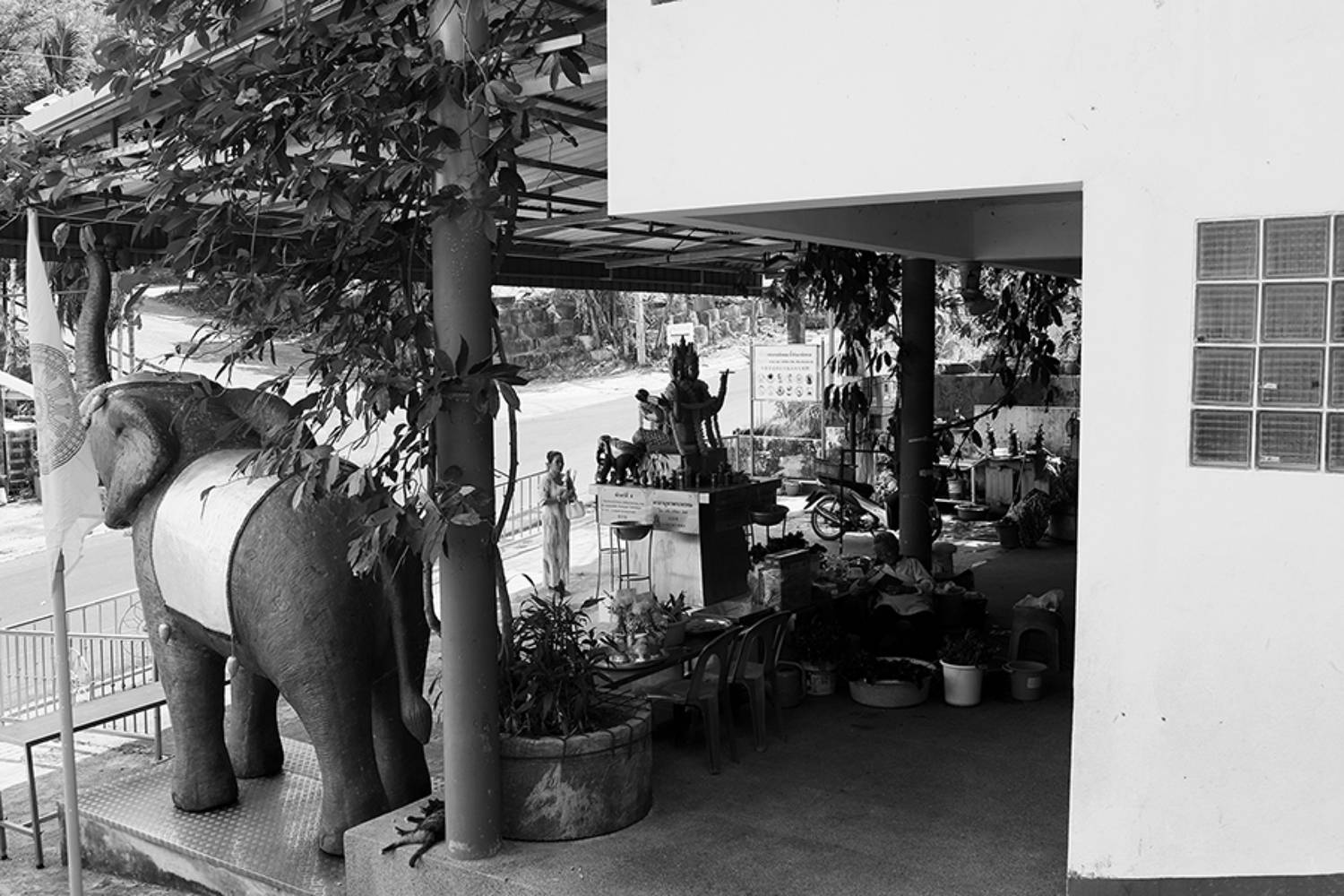 жанр, стрит, тай, слон, street photo, travel photo, bw street photo, tailand, elephant, репортаж, храм, temple, budda, будда, Mikhail Faletkin