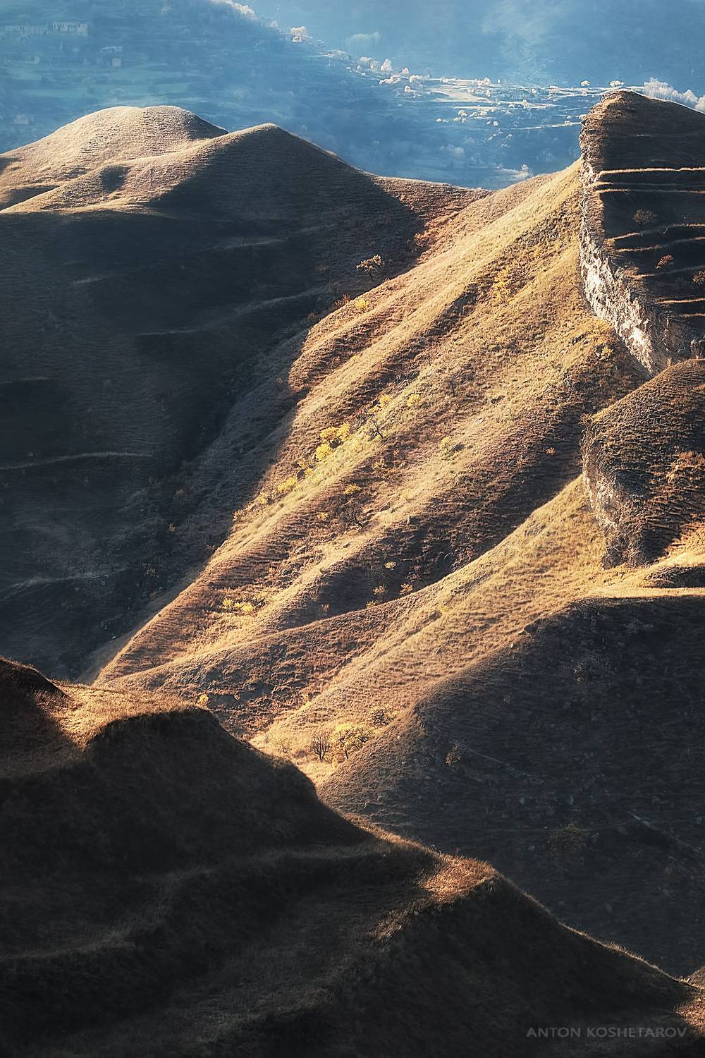 , Антон Кошетаров