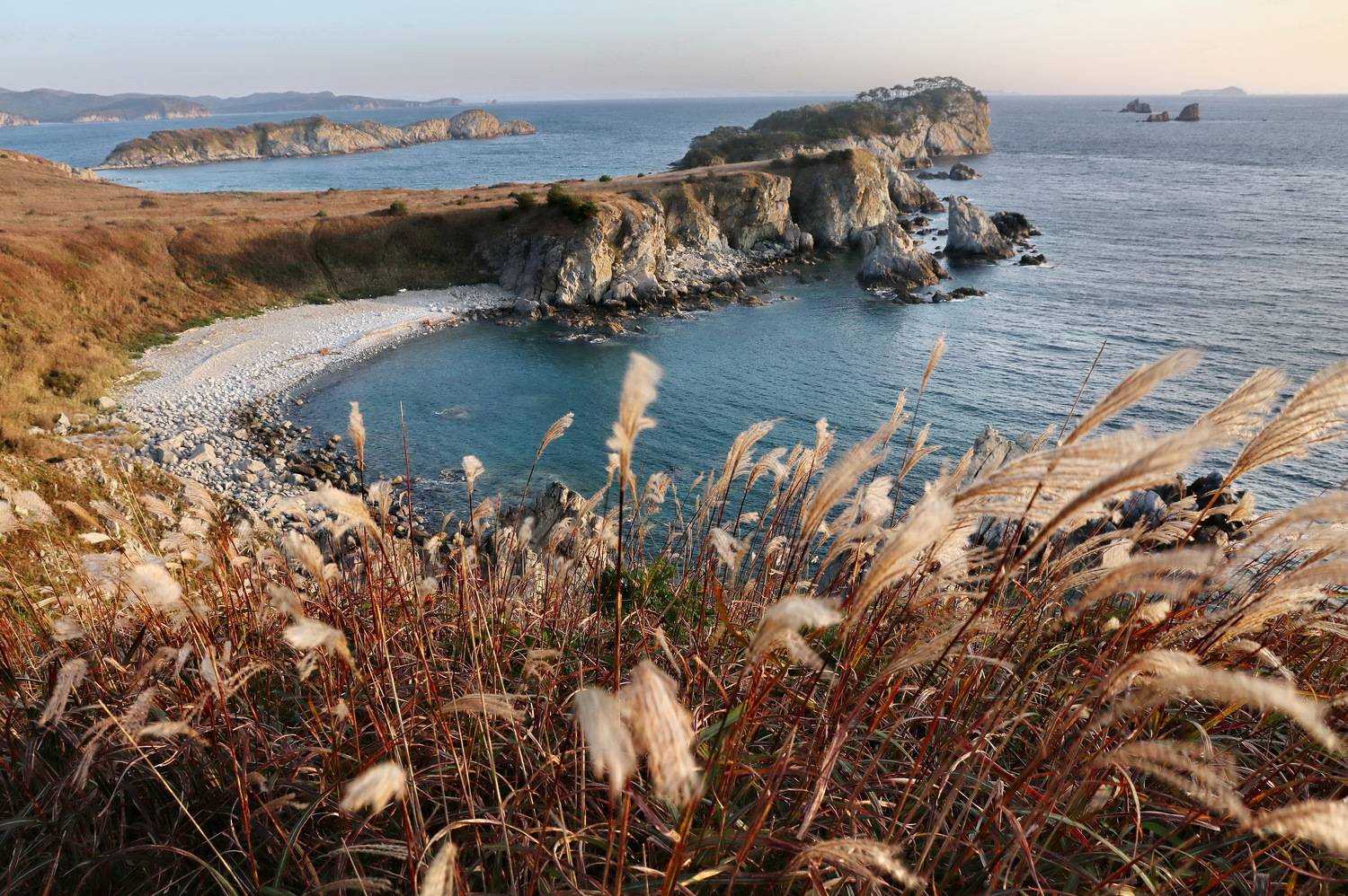 , Добролюбова Тамара