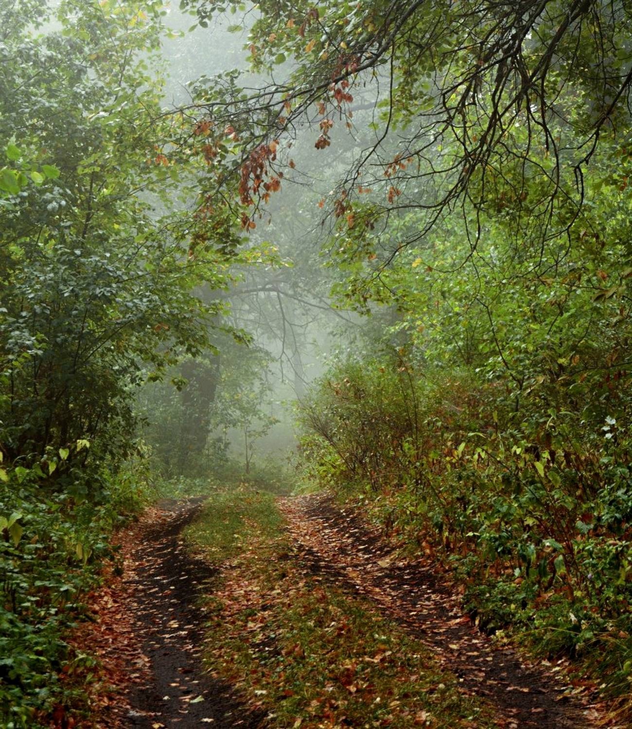 , Вадим Качанов