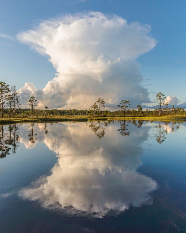 #visitestonia, #visitestland, #ilusadeestipaigad, #nature_of_estonia, #clouds, #cloudscapes, #cloudstagram, #cloudsphotography, #clouds_of_our_world, #reflections, #reflectiongram, #reflecting_perfection, #reflection_focus_on, #visitharju, #pentax, #penta --- фото превью