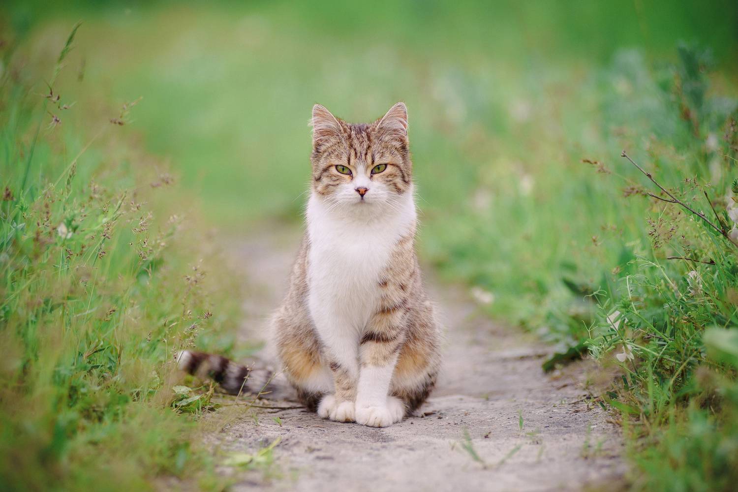 , Котов Сергей