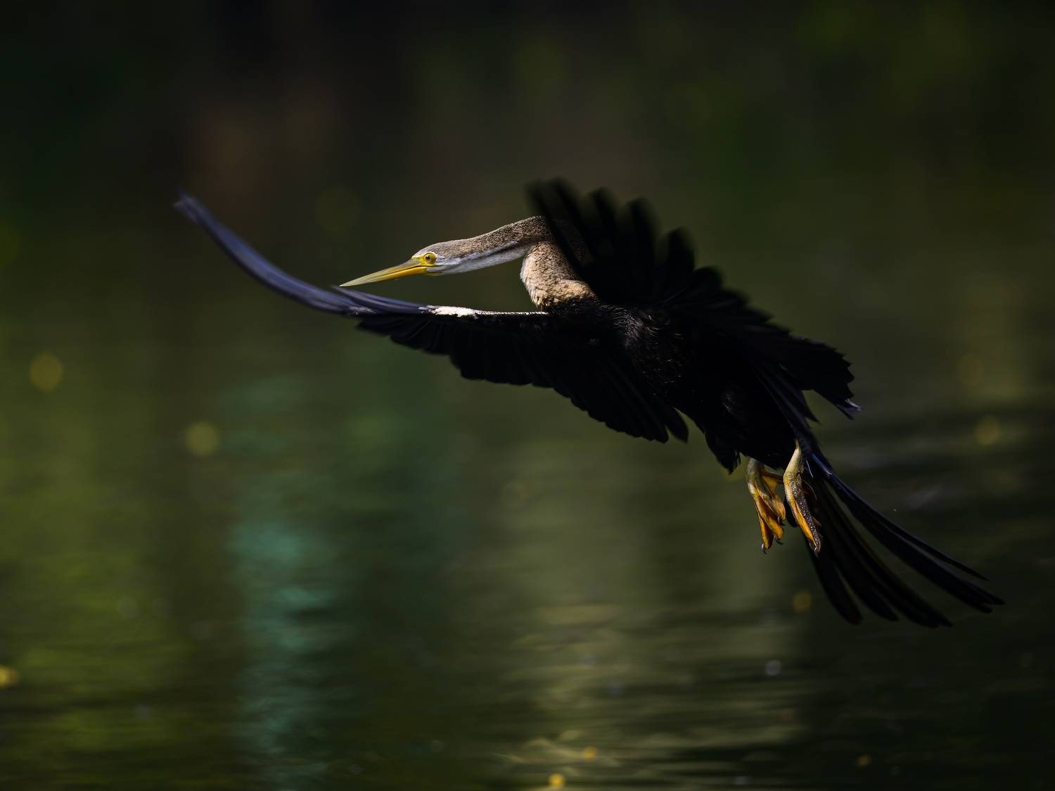 , Пупонин Сергей