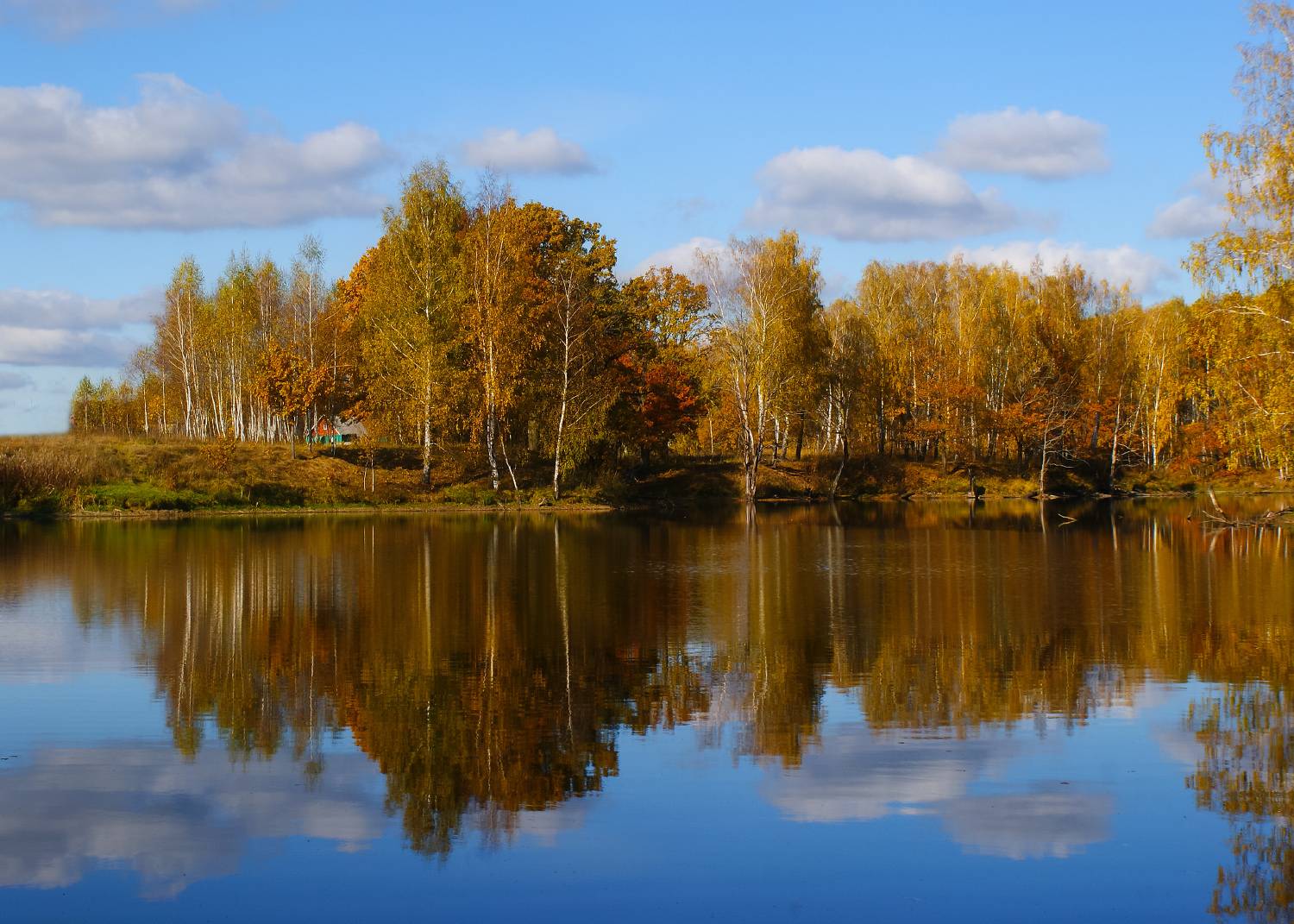 осень, листья, отражение, Колеснева Елена