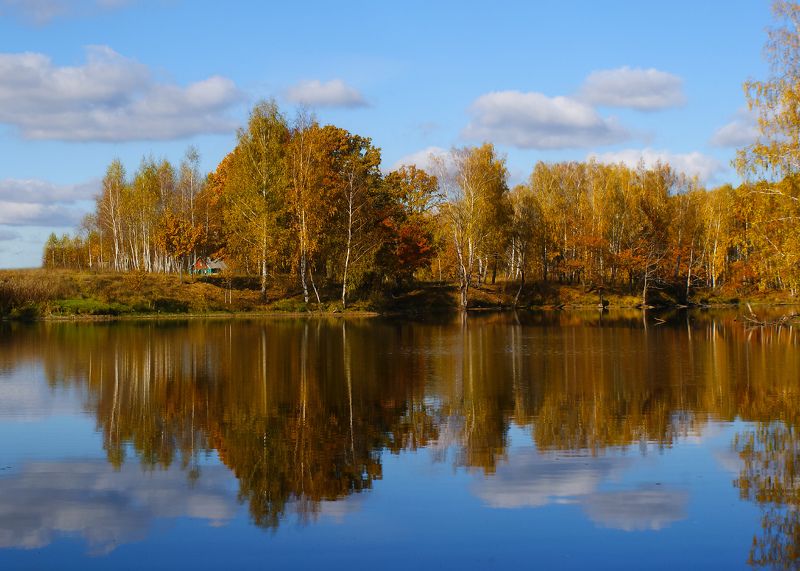 осень, листья, отражение Осенняя мелодия фото превью