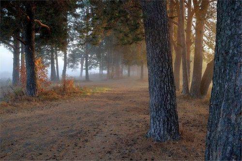 Туман и Солнце