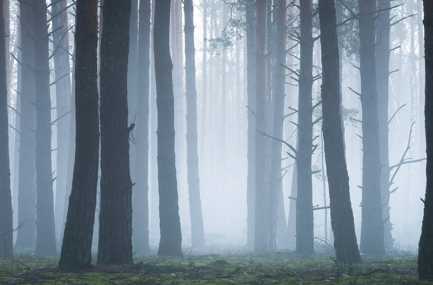 , Захаров Дмитрий