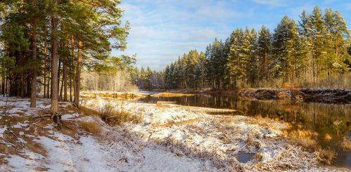 Случилось. Снег выпал в ноябре.