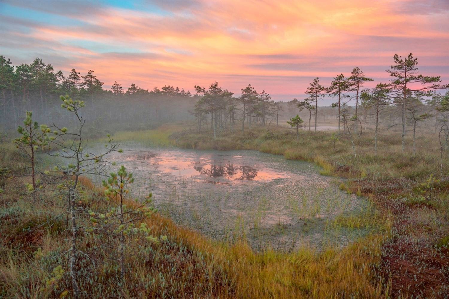 , Петр Косых