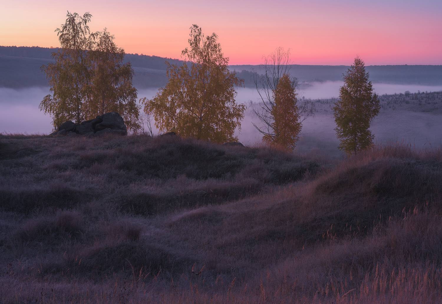 тульская область, красивая меча, осень, туман, рассвет, Левыкин Виталий